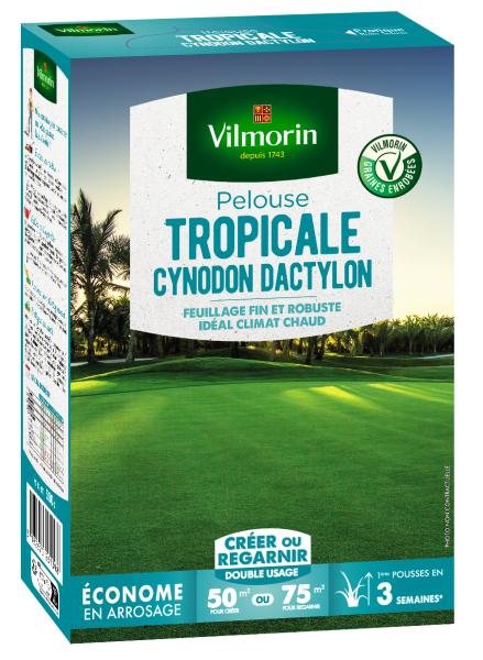 Tropical - Pelouse Tropicale - Cynodon Dactylon - 500 g - face recto